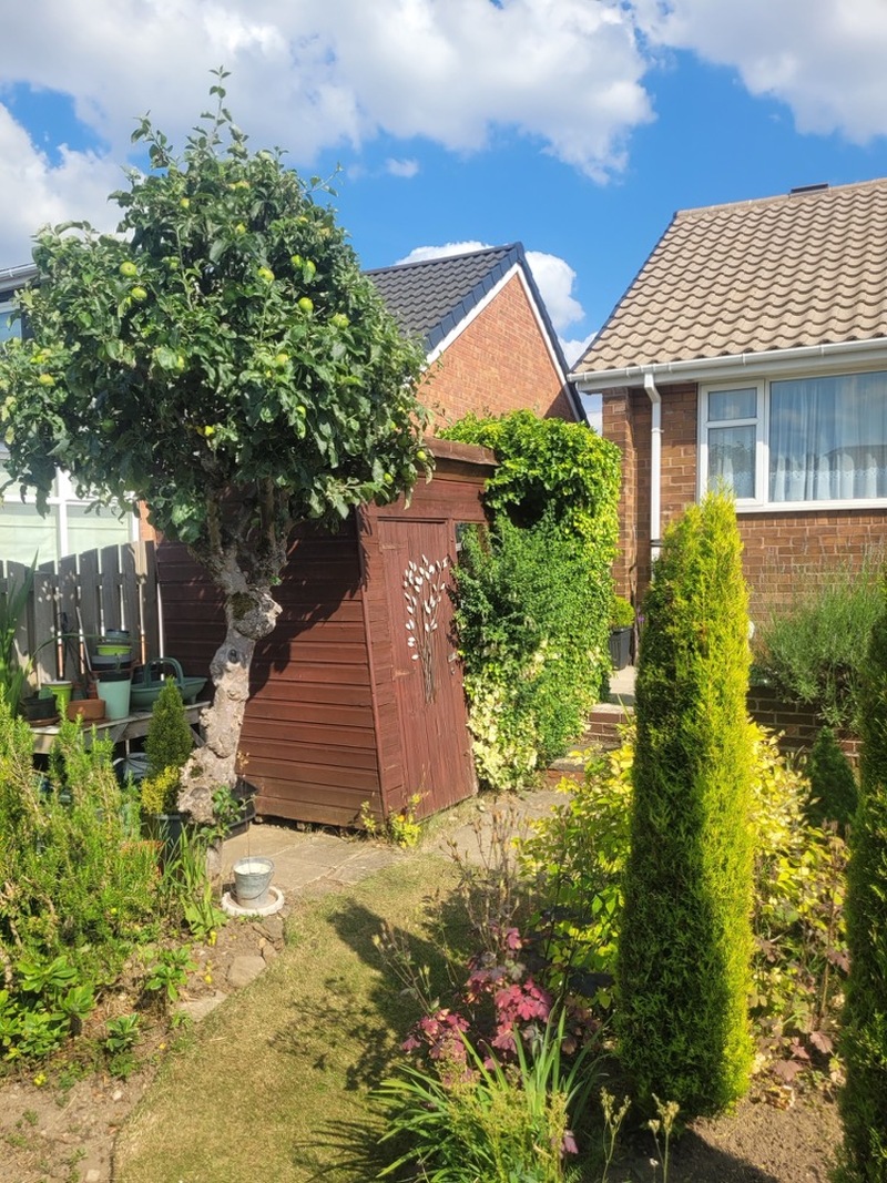 Other image for Barnsley’s best garden: How garden has become couple’s happy place